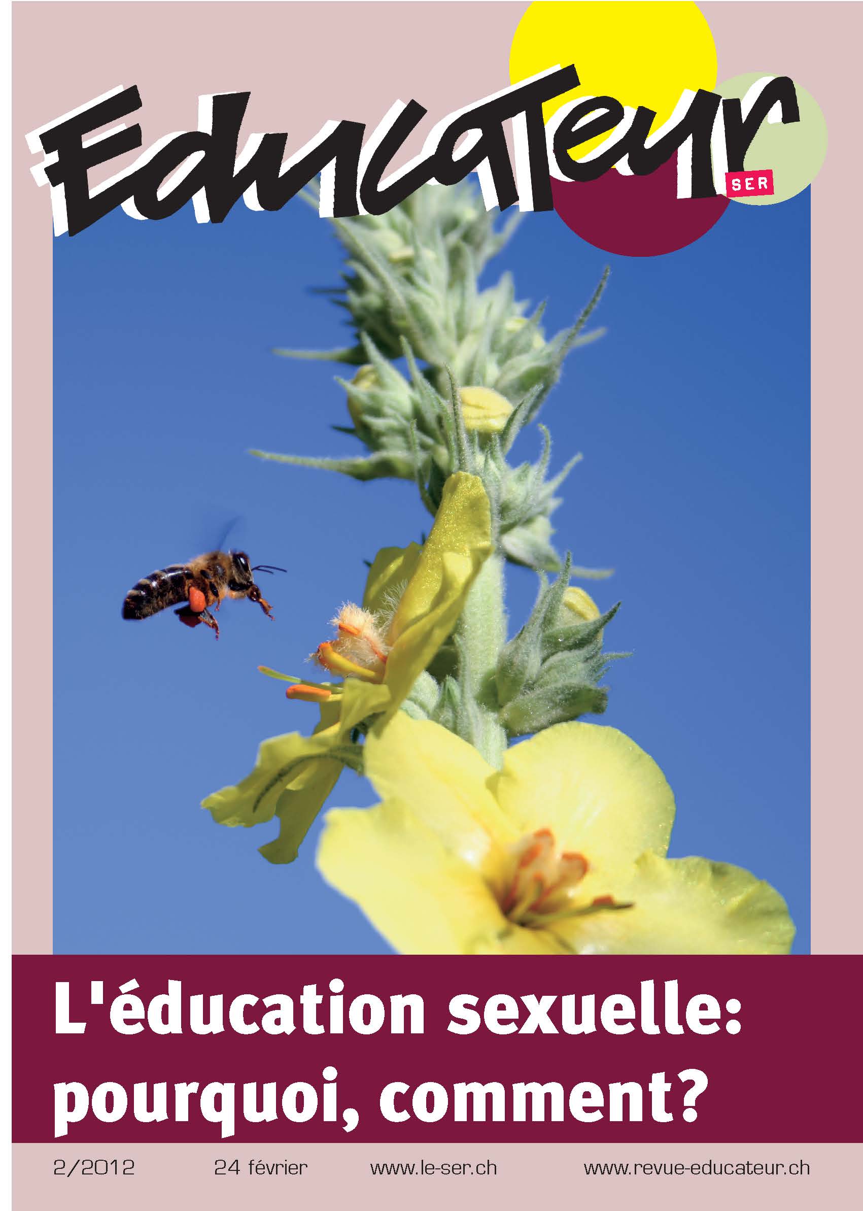 Léducation Sexuelle Pourquoi Comment Syndicat Des Enseignantes