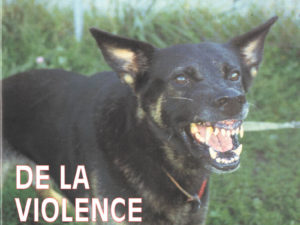 De la violence à la haine
