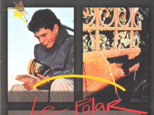 Le polar