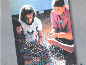 Epouvantail à moineaux malgré lui : le constructivisme