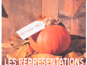 Les représentations mentales