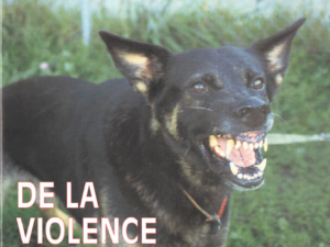 De la violence à la haine